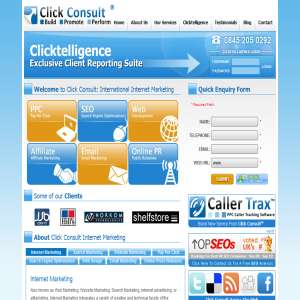 Click Consult Web Marketing Company - Marketing